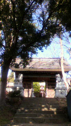 実家の裏にある氏神様（大宮神社）